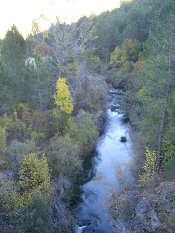 El río, aguas arriba del Puente del Martinete.
